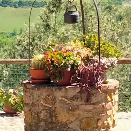 Grossola Castiglione d'Orcia