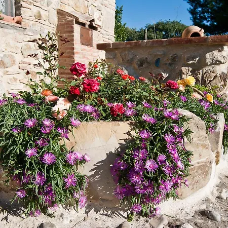 Farm stay Grossola Castiglione d'Orcia